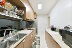Blk 477B Hougang Capeview (Hougang), HDB 5 Rooms #427162141